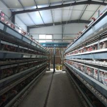 藁城區(qū)兵海籠具加工廠 供應產(chǎn)品