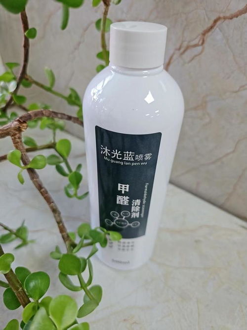 2025年家用除甲醛方法效果大測評 睿容環(huán)保等產(chǎn)品深度解析